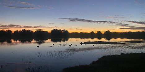 Paisaje de un lago al atardecer en Argentina, destino de caza de ARCAZA