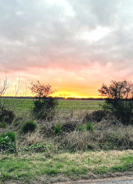 Atardecer sobre un paisaje rural en una finca de ARCAZA
